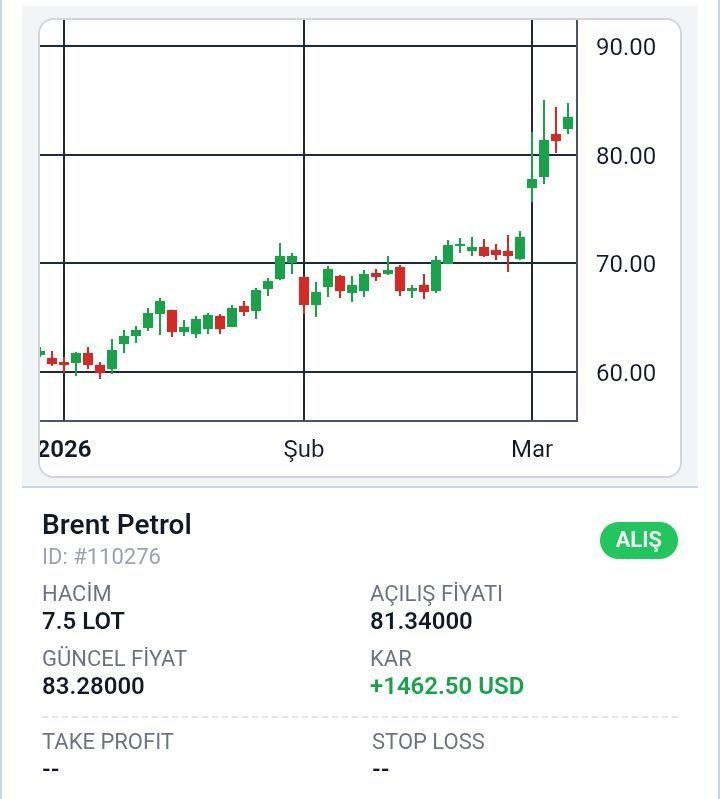 photo_2026-03-05_10-53-53