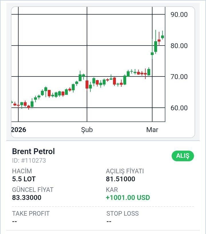 photo_2026-03-05_10-54-13