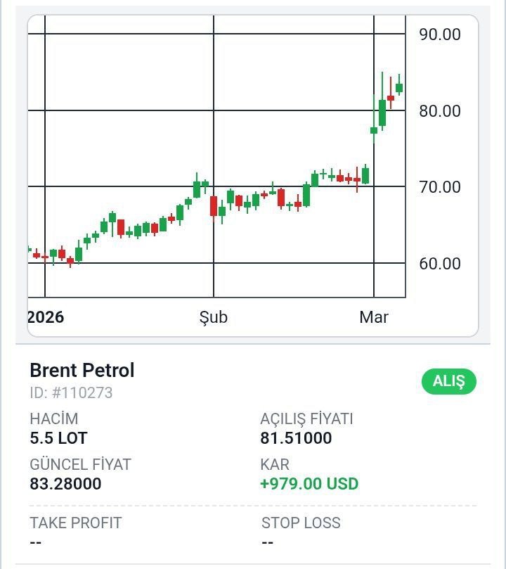 photo_2026-03-05_10-54-21