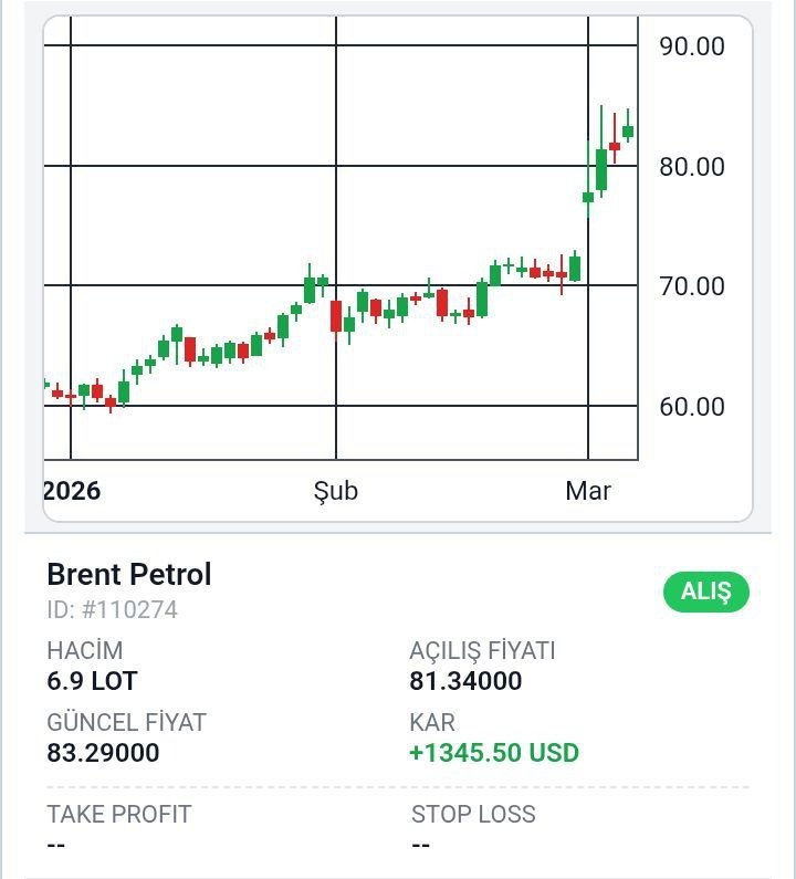 photo_2026-03-05_10-54-32