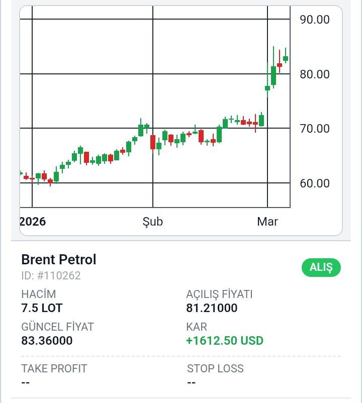 photo_2026-03-05_10-54-38